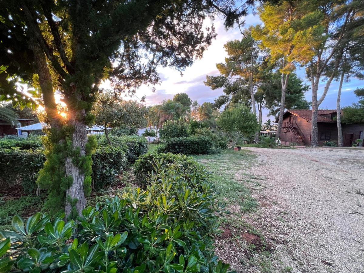 Villa Rosemary Marsala Exterior foto
